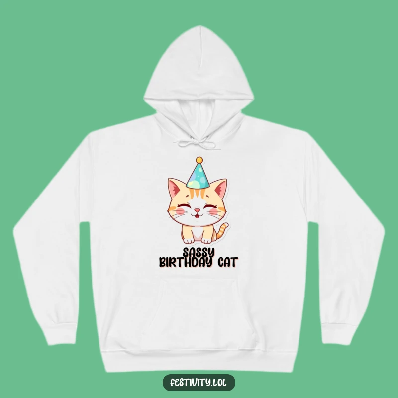 Funny Cat Birthday Hoodie: Cozy Celebration Gear for Cat Lovers